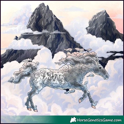 Horse Color:Black Frame Appaloosa 