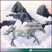 Horse Color:Black Frame Appaloosa 