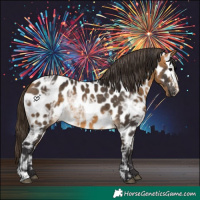 Horse Color:Buckskin Ice Near Leopard 