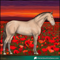 Horse Color:Amber Champagne Rabicano 
