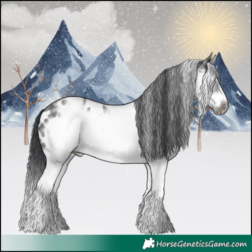 Horse Color:White Spotted Blue Roan Splash Frame Near Leopard 