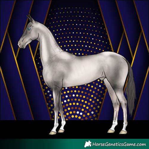 Horse Color:Platinum Gold Champagne Pearl Rabicano  and Platinum Gold Champagne Pearl Rabicano 