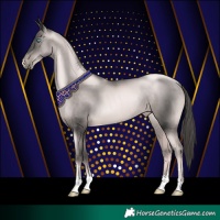 Horse Color:Platinum Gold Champagne Pearl Rabicano  and Platinum Gold Champagne Pearl Rabicano 