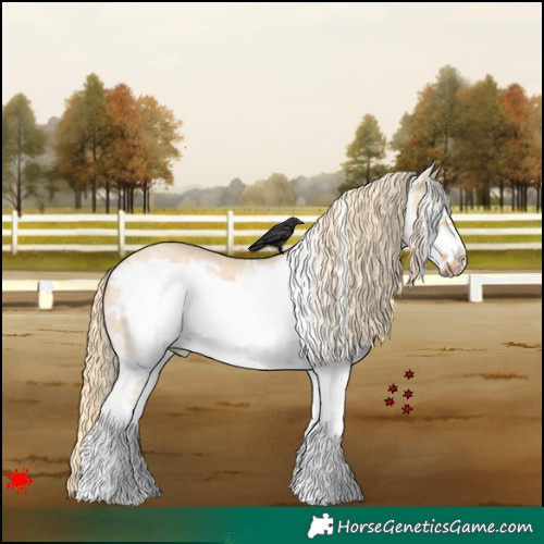 Horse Color:White Spotted Red Dun Roan Frame 