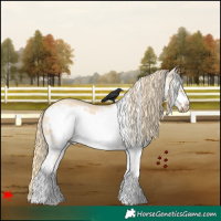 Horse Color:White Spotted Red Dun Roan Frame 