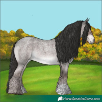 Horse Color:Platinum Liver Red Roan 
