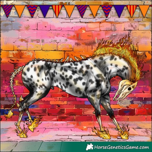 Horse Color:Black Appaloosa 