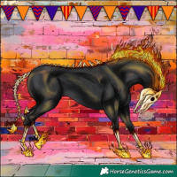 Horse Color:Black 