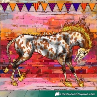 Horse Color:Bay Appaloosa 
