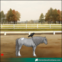 Horse Color:Black Varnish Rabicano