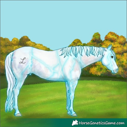 Horse Color:Thunderstruck Palomino Roan Dun Splash Tobiano Rabicano
