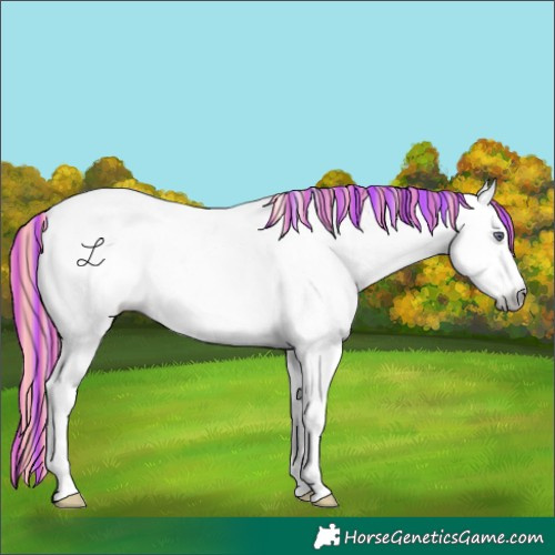 Horse Color:Gray Painted White Spotted Cremello Chinchilla Dun 