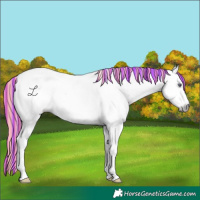 Horse Color:Gray Painted White Spotted Cremello Chinchilla Dun 