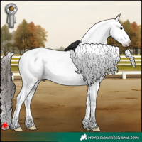 Horse Color:White Spotted Black Appaloosa