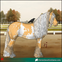 Horse Color:White Spotted Palomino Dun 