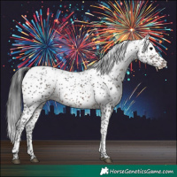 Horse Color:Brown Sabino Rabicano