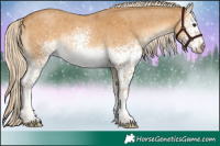 Horse Color:White Spotted Palomino Roan Rabicano