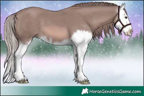 Horse Color:Platinum Chestnut Splash 