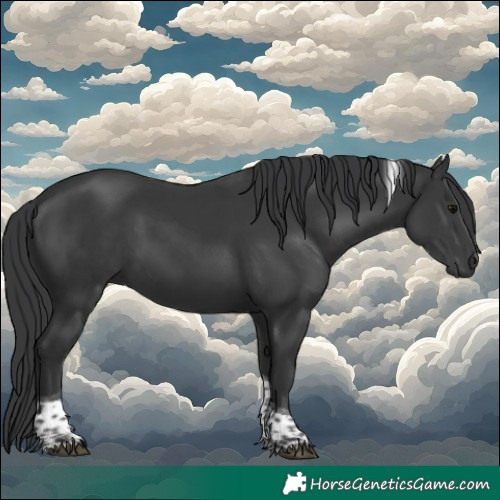 Horse Color:Black Tobiano 