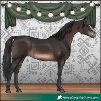 Horse Color:Brown 