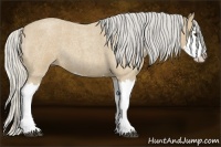 Horse Color:Silver Buckskin Roan Splash