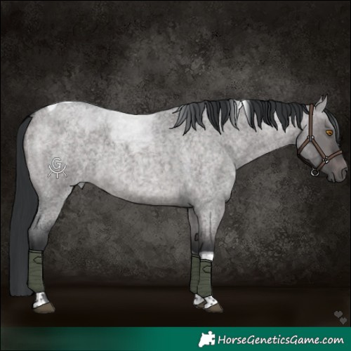 Horse Color:Platinum Brown Roan Dun Tobiano 