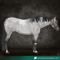 Horse Color:Platinum Brown Roan Dun Tobiano 