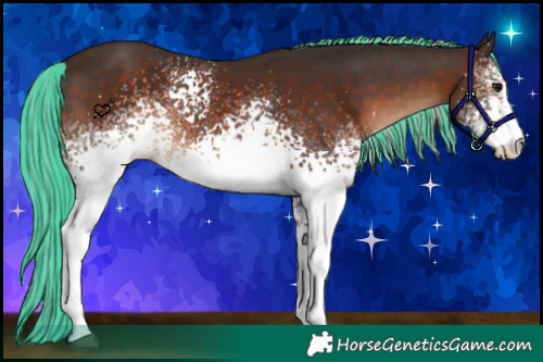 Horse Color:Painted White Spotted Silver Brown