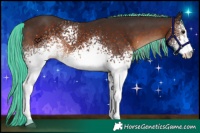 Horse Color:Painted White Spotted Silver Brown 