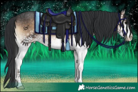 Horse Color:White Spotted Brown Onyx Sabino Appaloosa 
