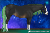 Horse Color:Gray Painted Silver Buckskin Splash 