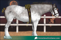 Horse Color:Painted White Spotted Silver Brown Roan