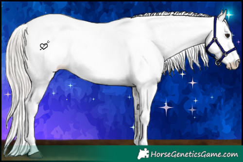 Horse Color:White Spotted Silver Brown Ice Appaloosa 