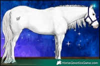 Horse Color:White Spotted Silver Brown Ice Appaloosa