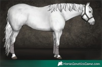 Horse Color:Gray White Spotted Liver Red Dun Ice Onyx Varnish 