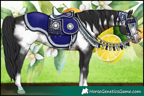 Horse Color:Brown Frame