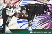 Horse Color:Brown Ice Blanket 