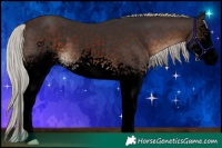 Horse Color:Void White Spotted Silver Brown