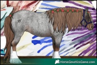 Horse Color:Liver Red Roan 