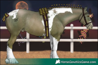 Horse Color:Brown Pearl Tobiano Rabicano 