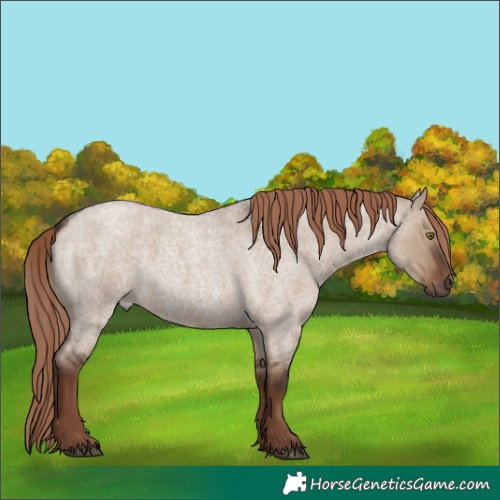 Horse Color:Liver Red Dun Roan Rabicano 