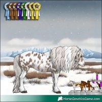 Horse Color:Silver Brown Dun Sabino Tobiano Appaloosa Rabicano 