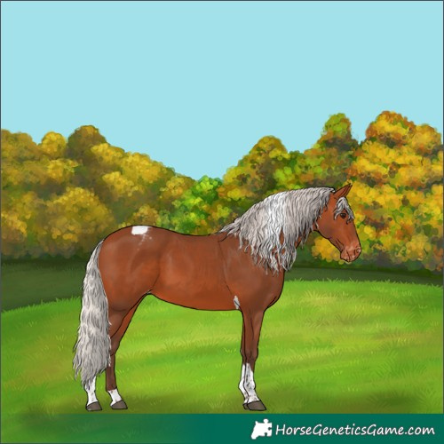 Horse Color:Silver Bay Tobiano Varnish