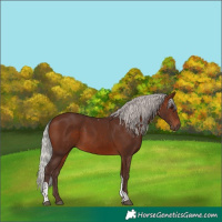 Horse Color:Silver Brown Tobiano 