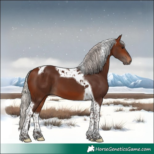 Horse Color:Silver Bay Tobiano 