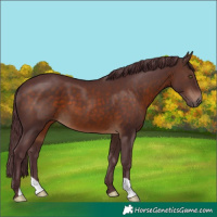 Horse Color:Chocolate Brown 