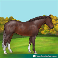 Horse Color:Chocolate Brown