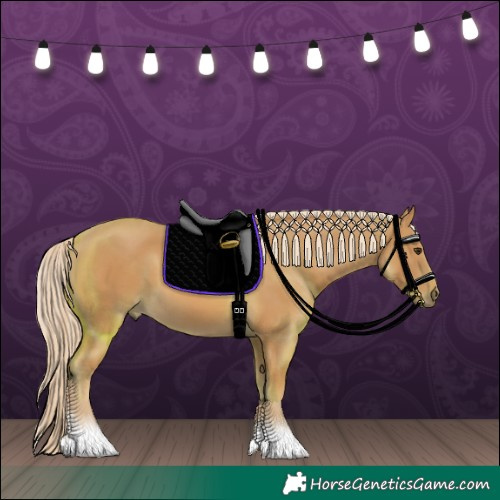Horse Color:Palomino