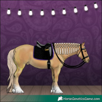 Horse Color:Palomino 