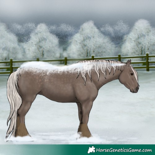 Horse Color:Silver Black 